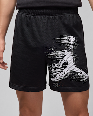 ◆Nike◆ Jordan Sports Men's Dry Fit Graphic Shorts Jordan Sport Men's Dri-FIT Graphic Shorts. Nike CA